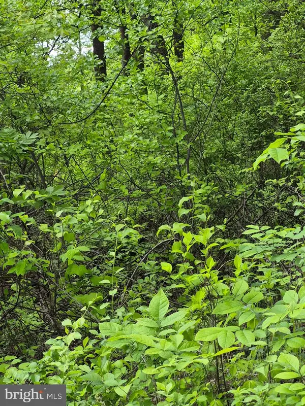 Lot 415 Briar, FRONT ROYAL, VA 22630