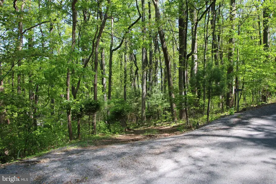 4011 Blue Mountain Rd, Front Royal, VA 22630 - #2