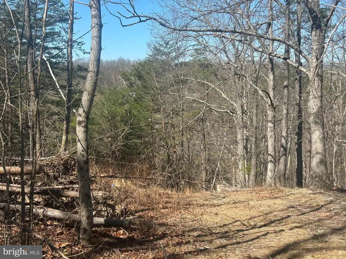 Andrews Rd, Strasburg, VA 22657 - #1