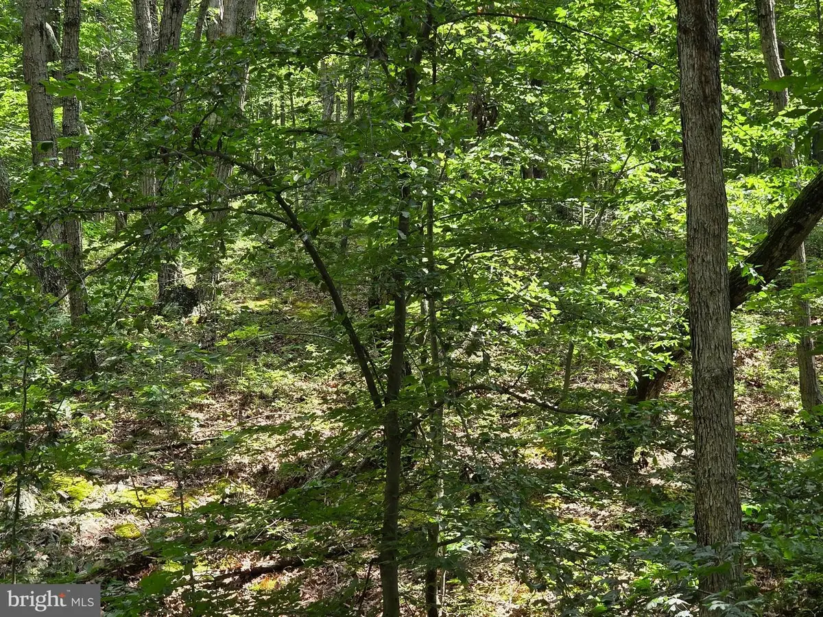 Hillandale Rd Lot 31, Front Royal, VA 22630 - #1