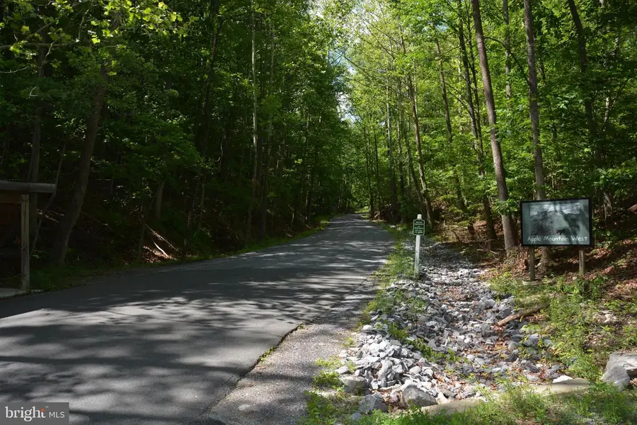 3 Lots - 59, 60, 61 Baldwin Rd, Front Royal, VA 22630 - #2