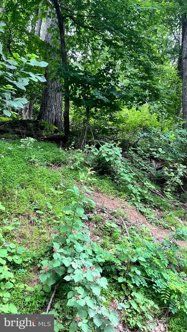 0 Windy Way 0, Front Royal, VA 22630 - #3