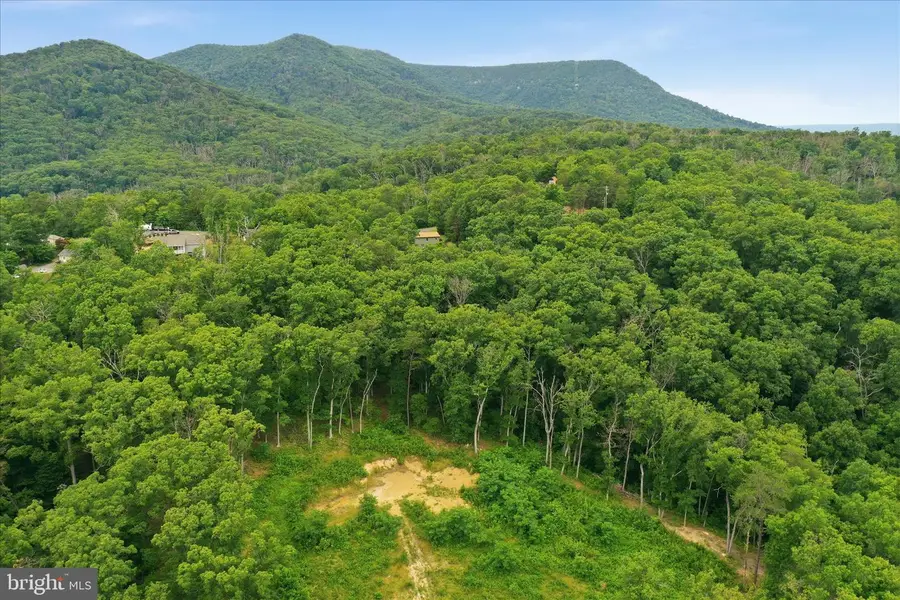 Messick Rd, Strasburg, VA 22657 - #2