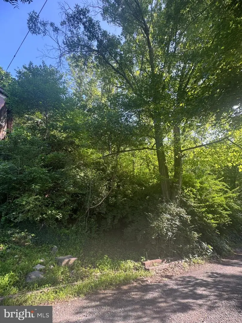 Bennys Beach Rd, Front Royal, VA 22630 - #3