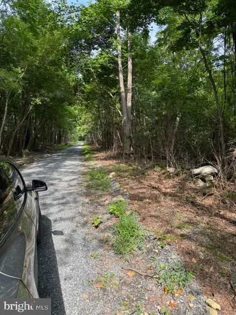 Smith Run Rd, Bentonville, VA 22610 - #3