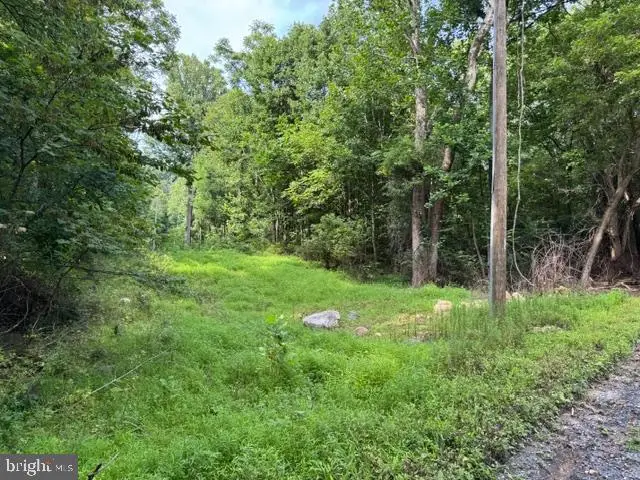 Lot 2a2 Smith Run Rd, Bentonville, VA 22610 - #2