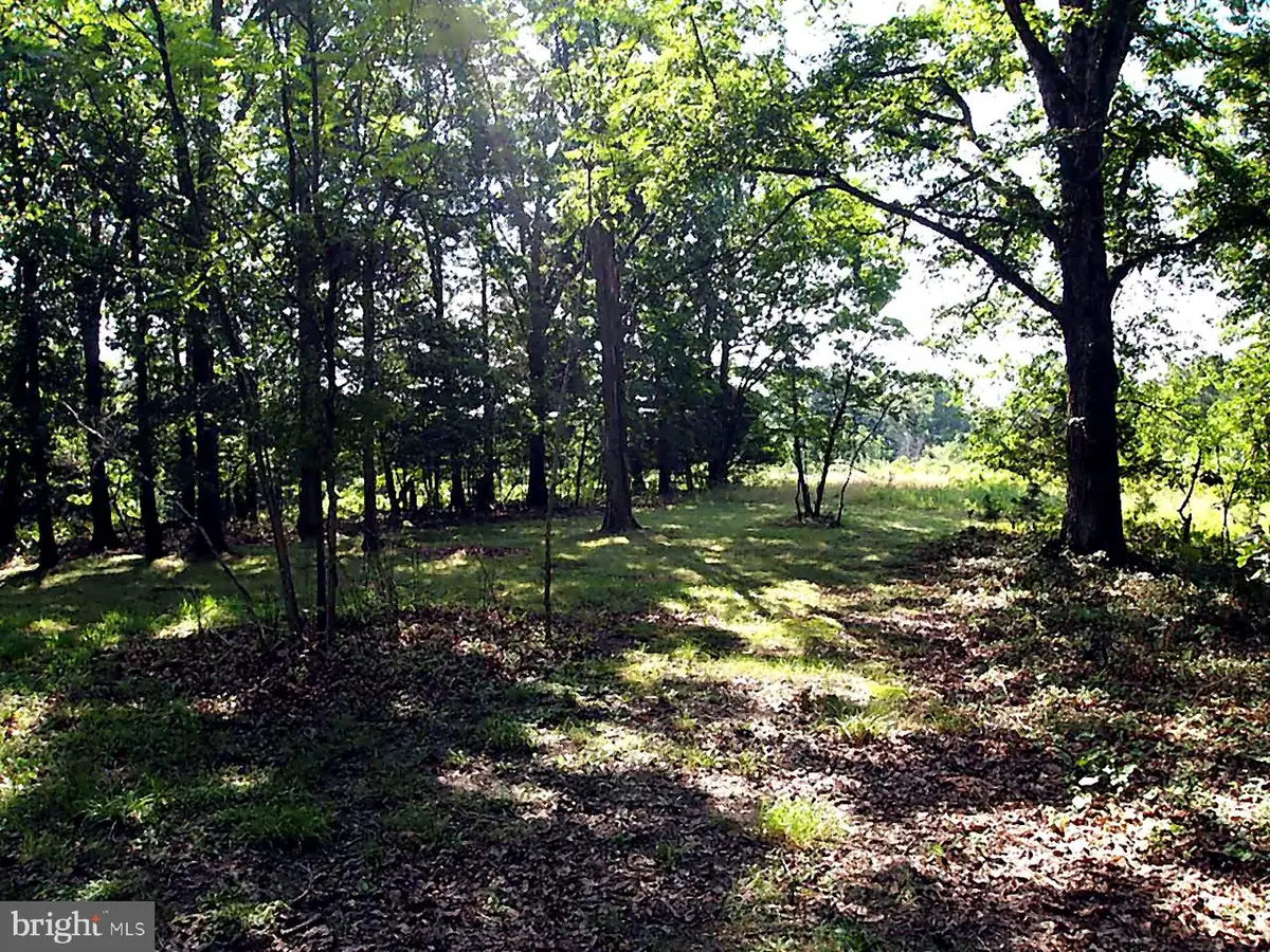 105 Ridgemont Rd, Middletown, VA 22645 - #1