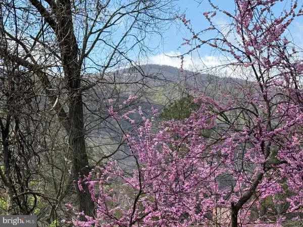 Lot 13 Jonathan Rd, LINDEN, VA 22642