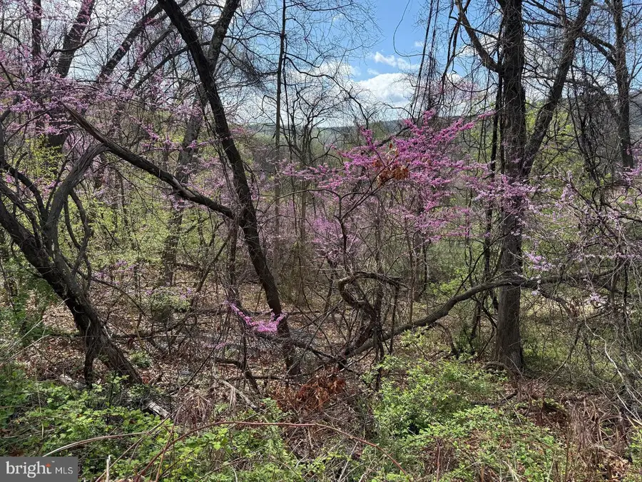 Lot 13 Jonathan Rd, Linden, VA 22642 - #2