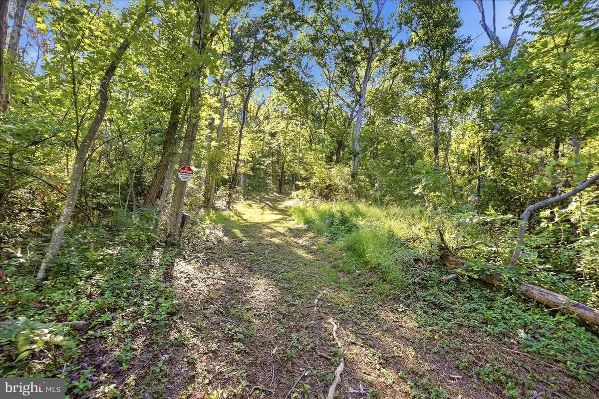 Valley Park Ct, Strasburg, VA 22657 - #1