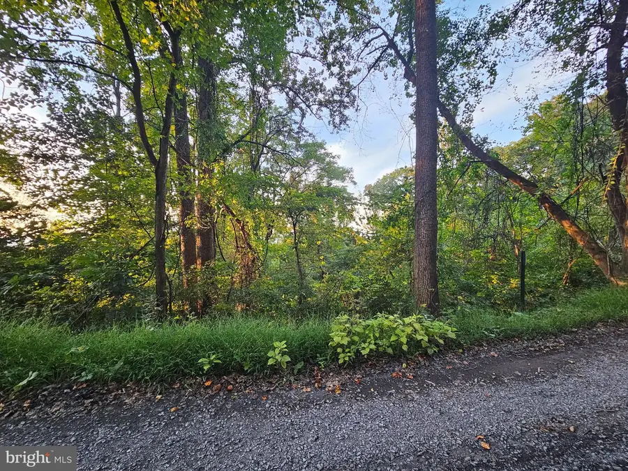 Briar Ln, Front Royal, VA 22630 - #3
