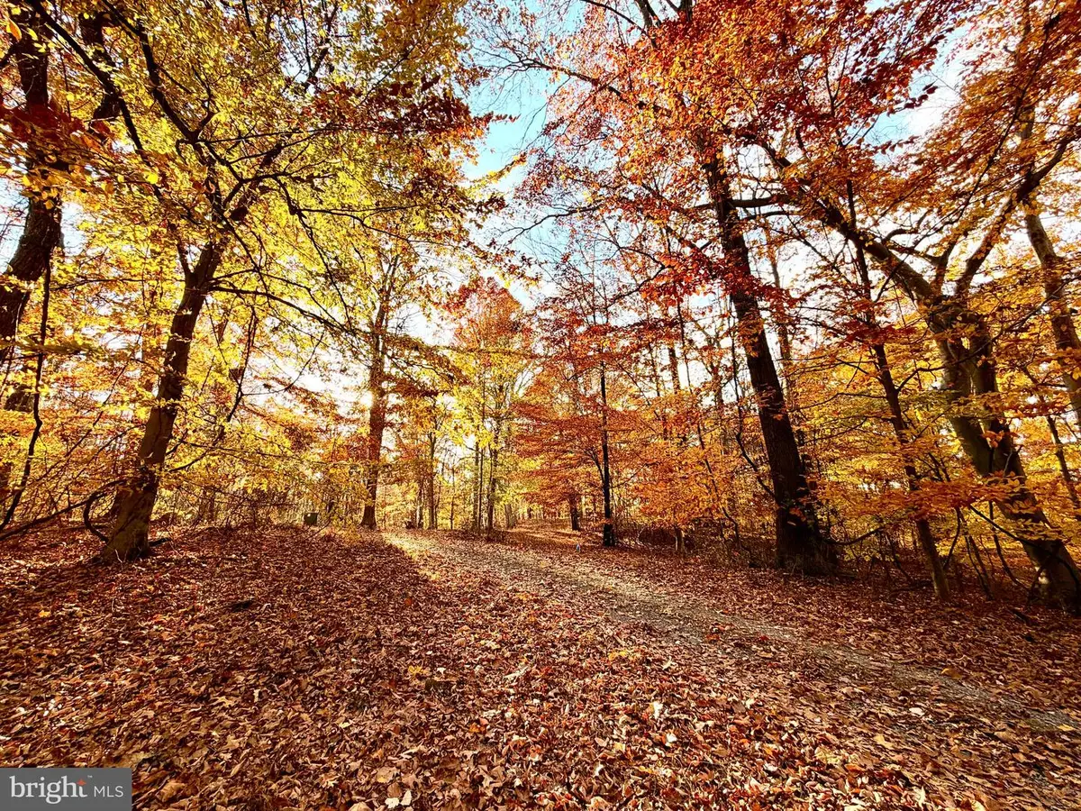 Goaway Road, Hedgesville, WV 25427 - Image #1