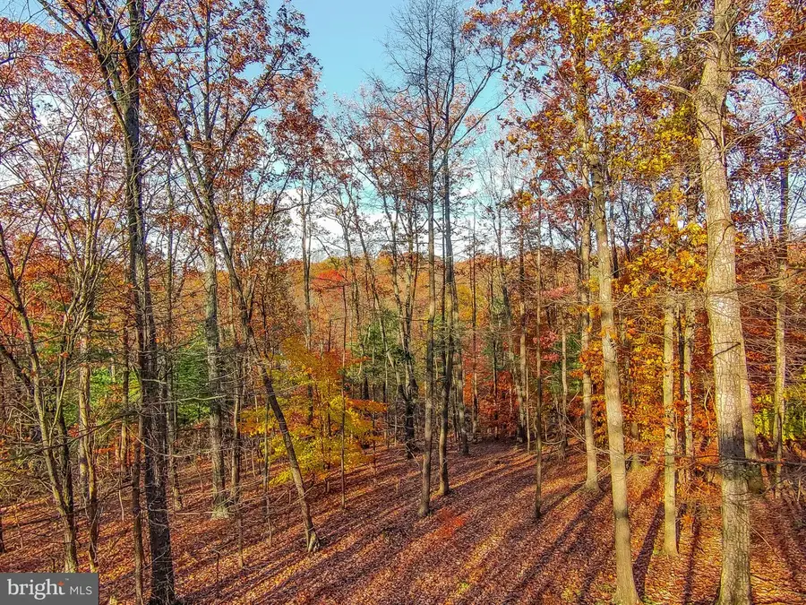 Goaway Road, Hedgesville, WV 25427 - Image #3