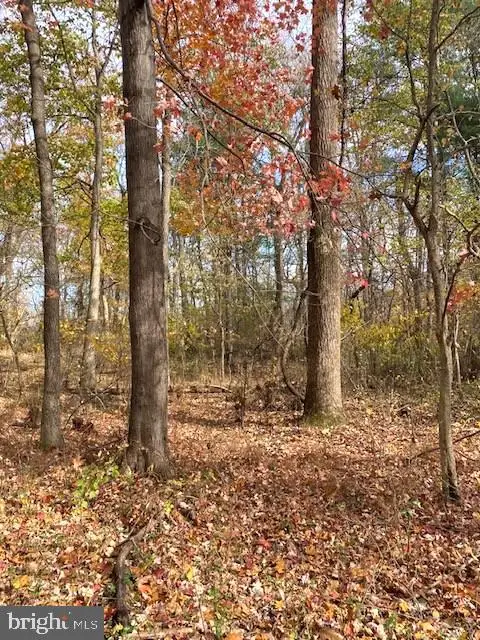 Nimitz Ln, Hedgesville, WV 25427 - Image #2