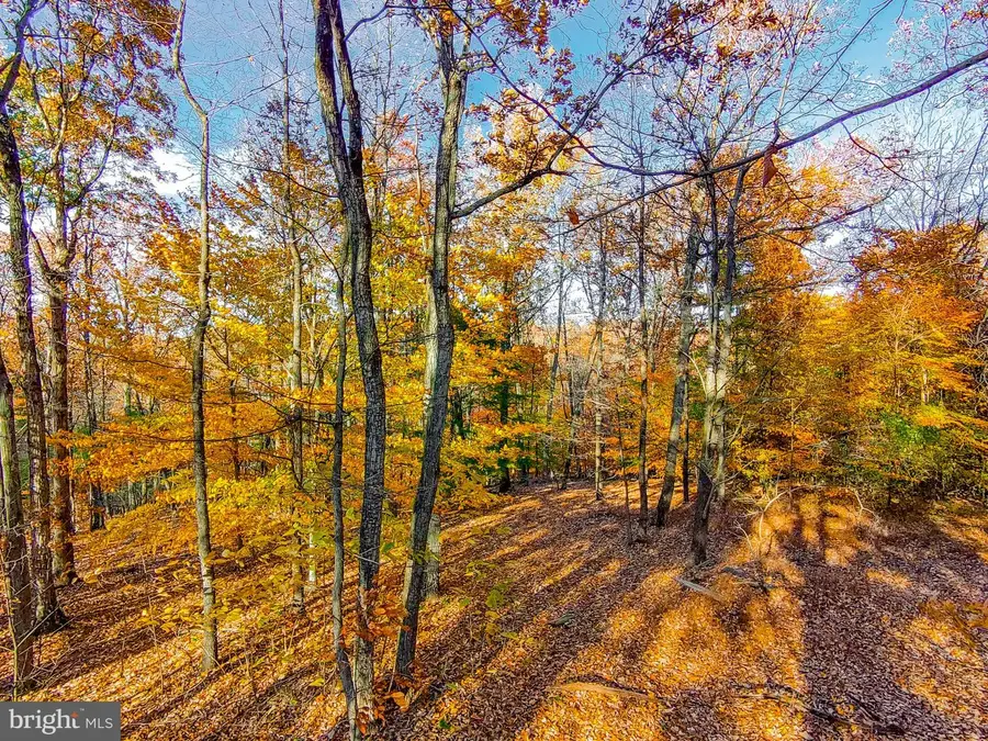 Goaway Road #1, Hedgesville, WV 25427 - Image #2