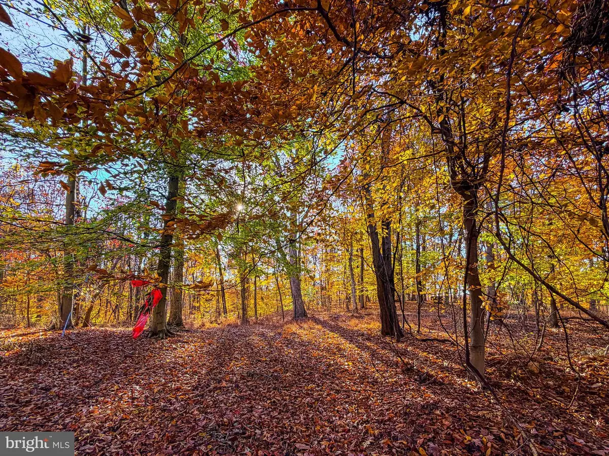 Goaway Road #2, Hedgesville, WV 25427 - Image #1