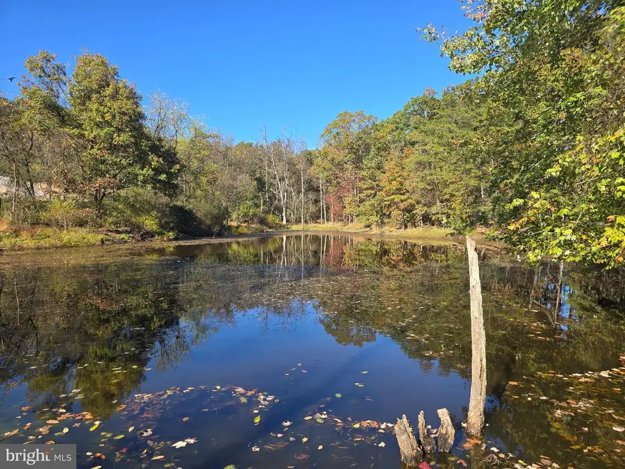 Lot 3 Myla Ln, Hedgesville, WV 25427 - Image #2