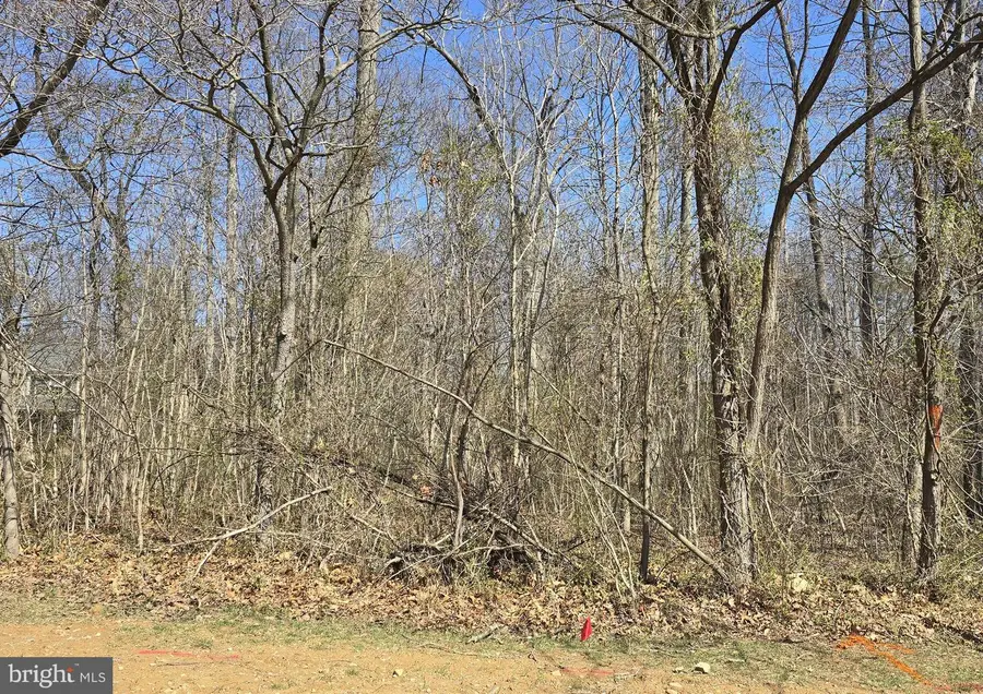 Nimitz Ln, Hedgesville, WV 25427 - #2