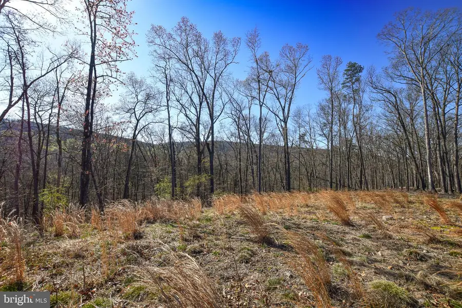 Lot 25 Vixen Ln, Gerrardstown, WV 25420 - #2