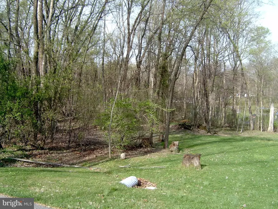 Lot 23 Emerald Dr, Falling Waters, WV 25419 - #2