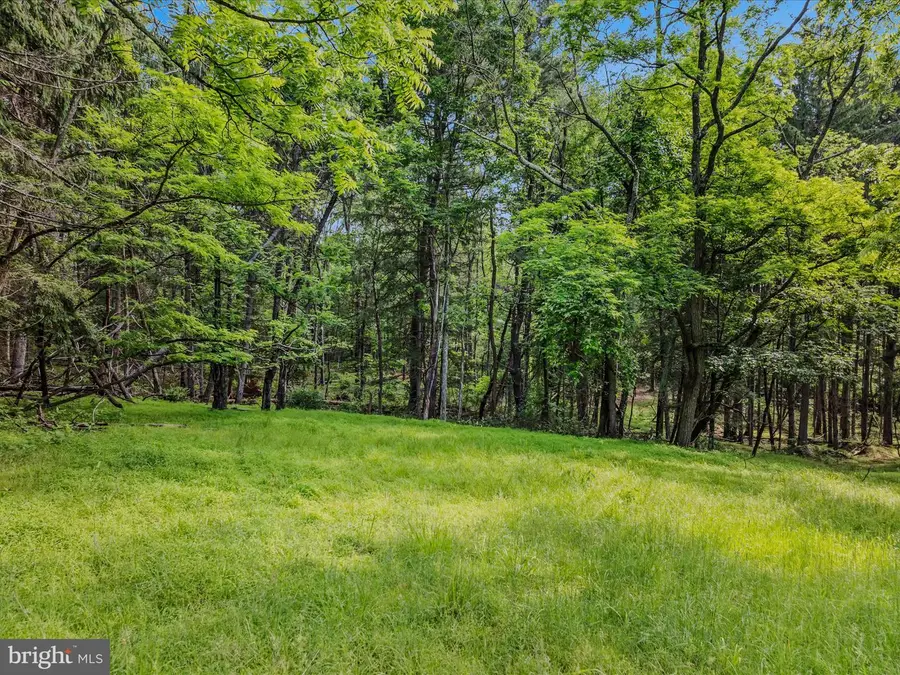 Tract 2 Grecian Ln, Hedgesville, WV 25427 - #3