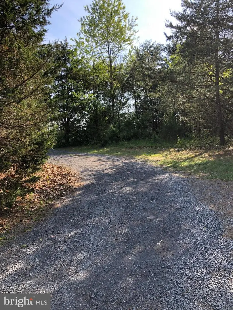 Lot B Nadenbousch Ln, Inwood, WV 25428 - #1