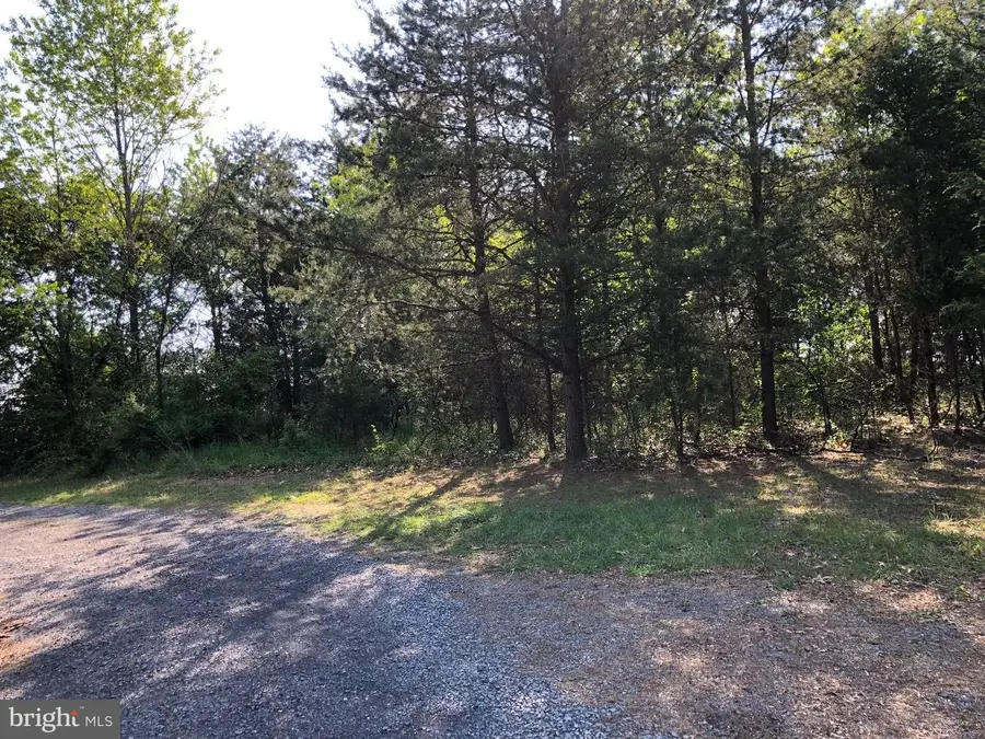 Lot B Nadenbousch Ln, Inwood, WV 25428 - #2