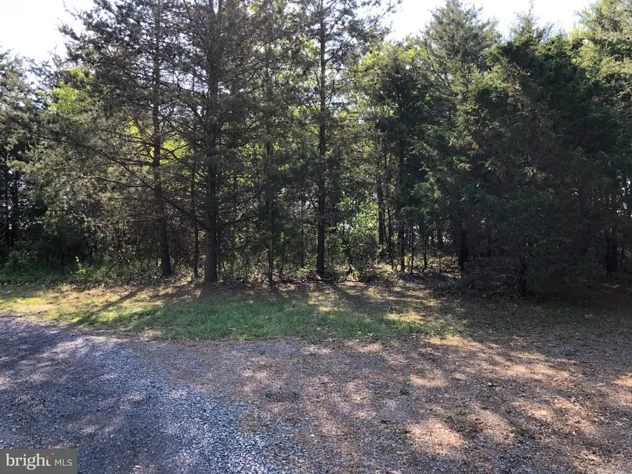 Lot B Nadenbousch Ln, Inwood, WV 25428 - #3