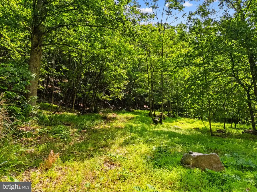 34-35 Maverick Trail, Hedgesville, WV 25427 - #3