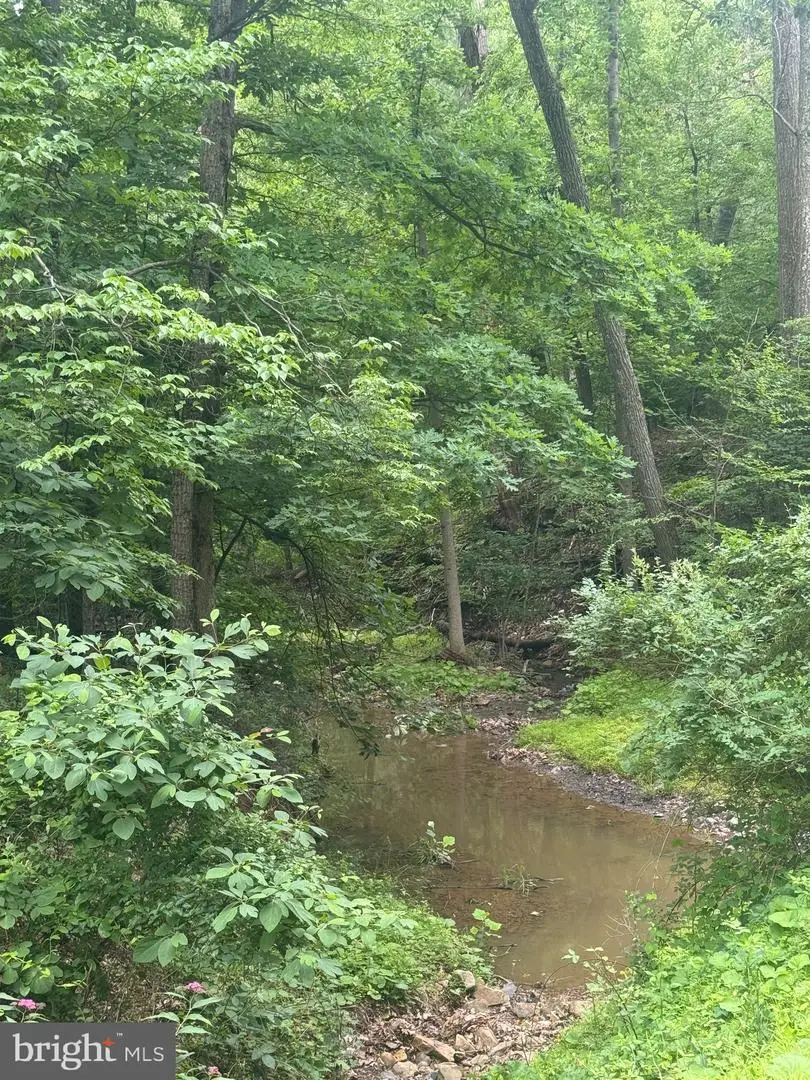 Lot 34 Audubon Rd, Hedgesville, WV 25427 - #3
