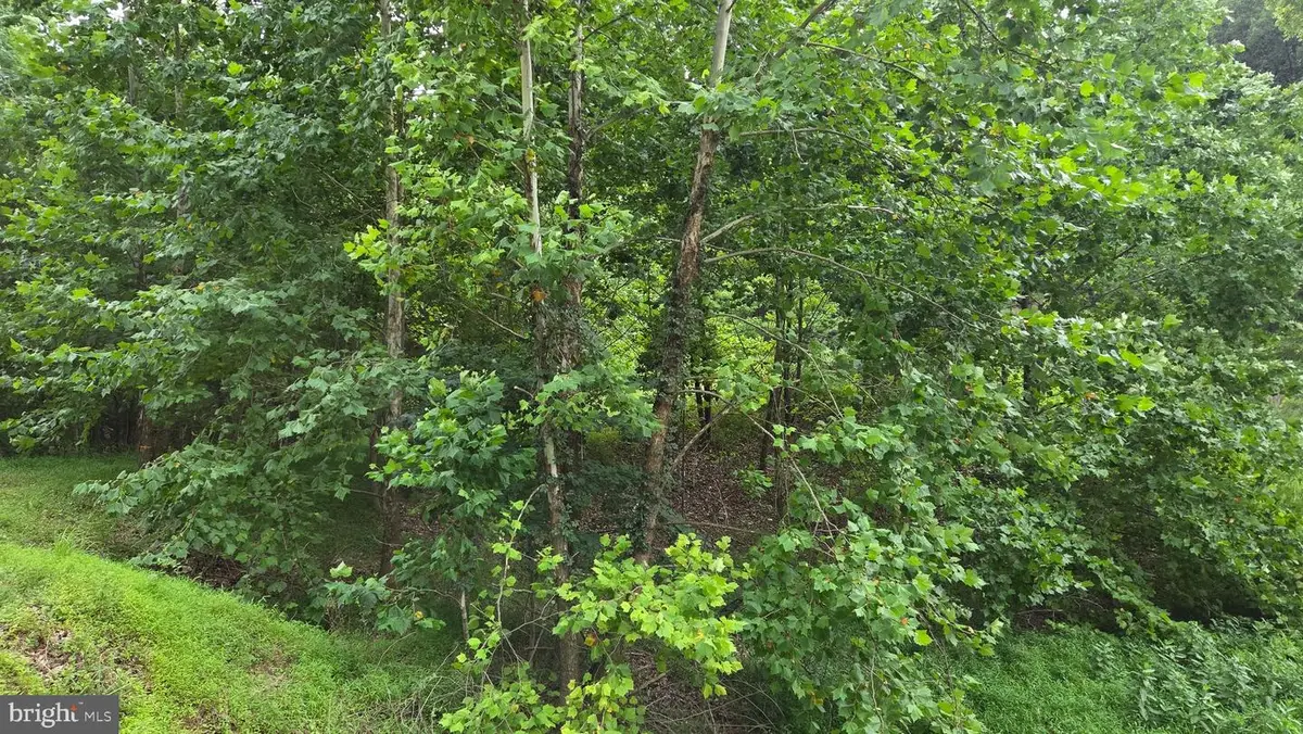 Mountain Lake Rd, Hedgesville, WV 25427 - #1