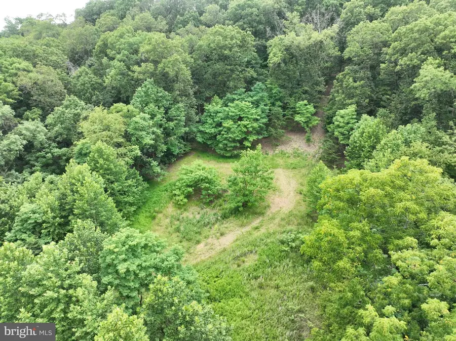 Mountain Lake Rd, Hedgesville, WV 25427 - #2