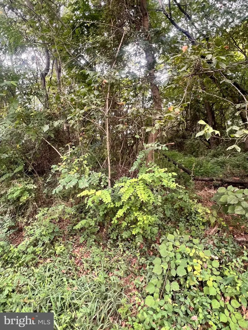 Lot 15 Nameless Way, Martinsburg, WV 25404 - #1
