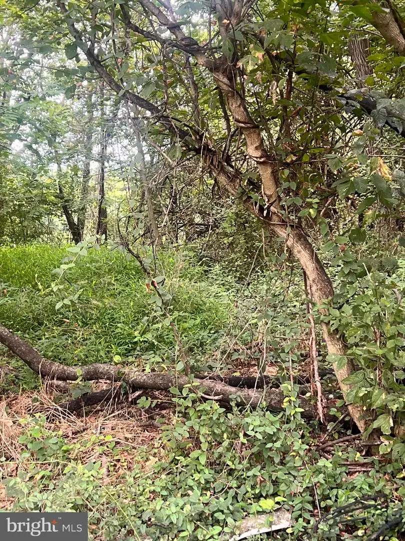 Lot 15 Nameless Way, Martinsburg, WV 25404 - #2