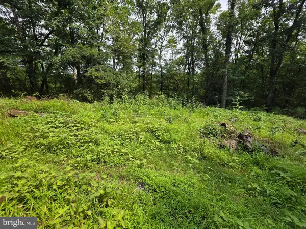 Pink Dogwood Ln, HEDGESVILLE, WV 25427