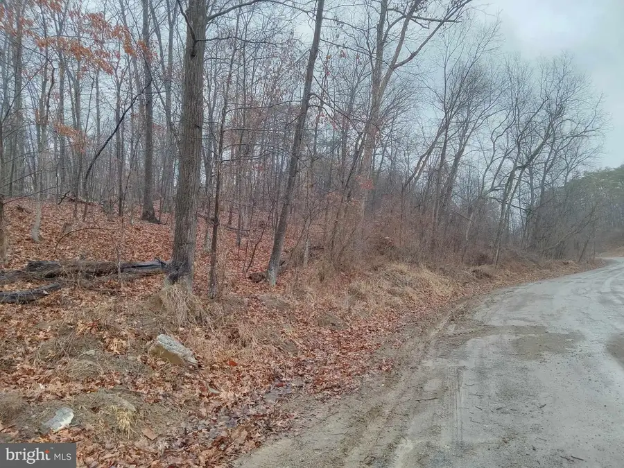 77 Alamo Ln, Falling Waters, WV 25419 - #3