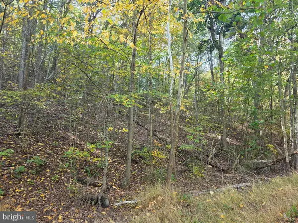 Vacation Way, HEDGESVILLE, WV 25427