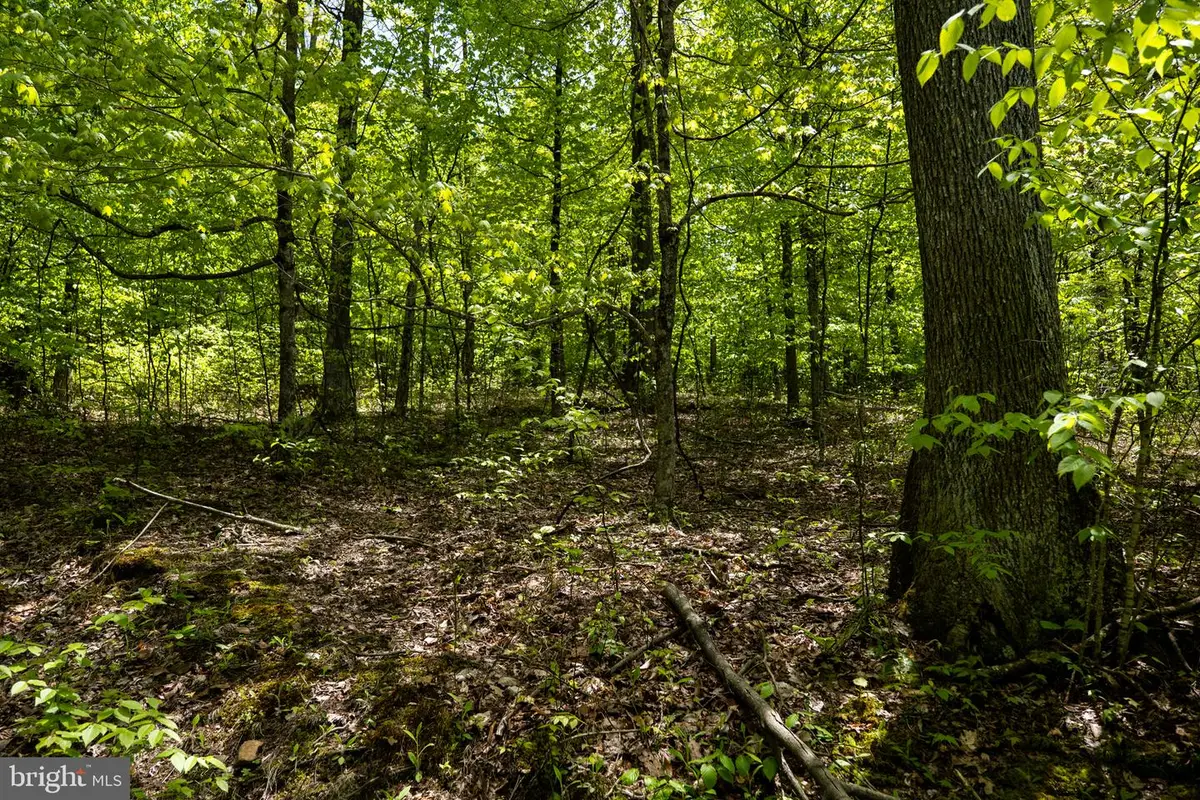 Lot 1 Laurel Mountain Rd, Belington, WV 26250 - #1