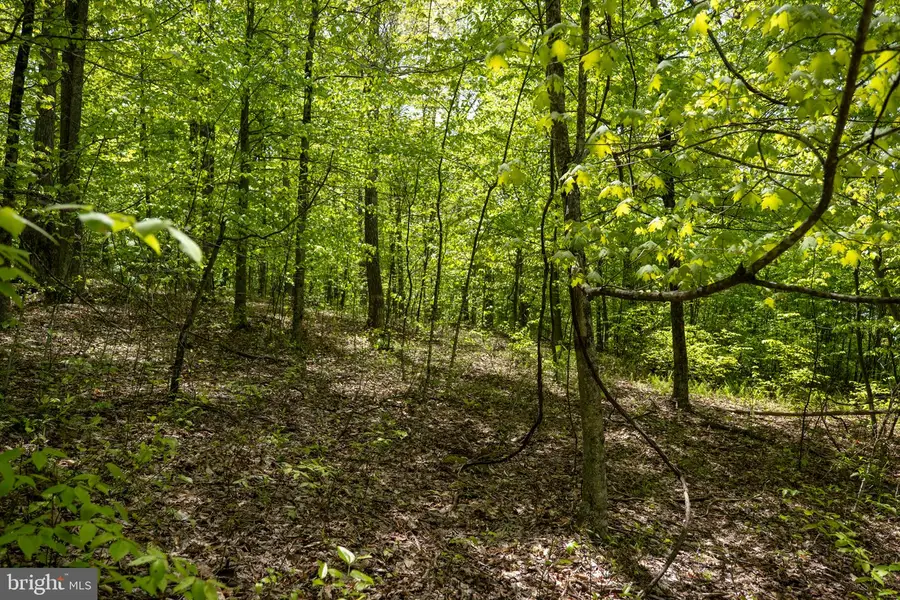 Lot 1 Laurel Mountain Rd, Belington, WV 26250 - #2