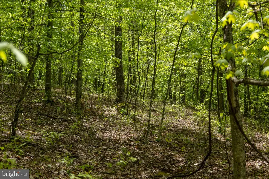 Lot 1 Laurel Mountain Rd, Belington, WV 26250 - #3