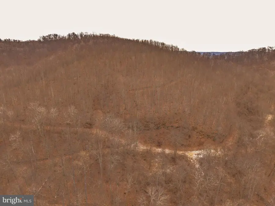 0 Raders Valley Rd, Williamsburg, WV 24991 - #3
