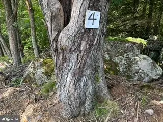 #3