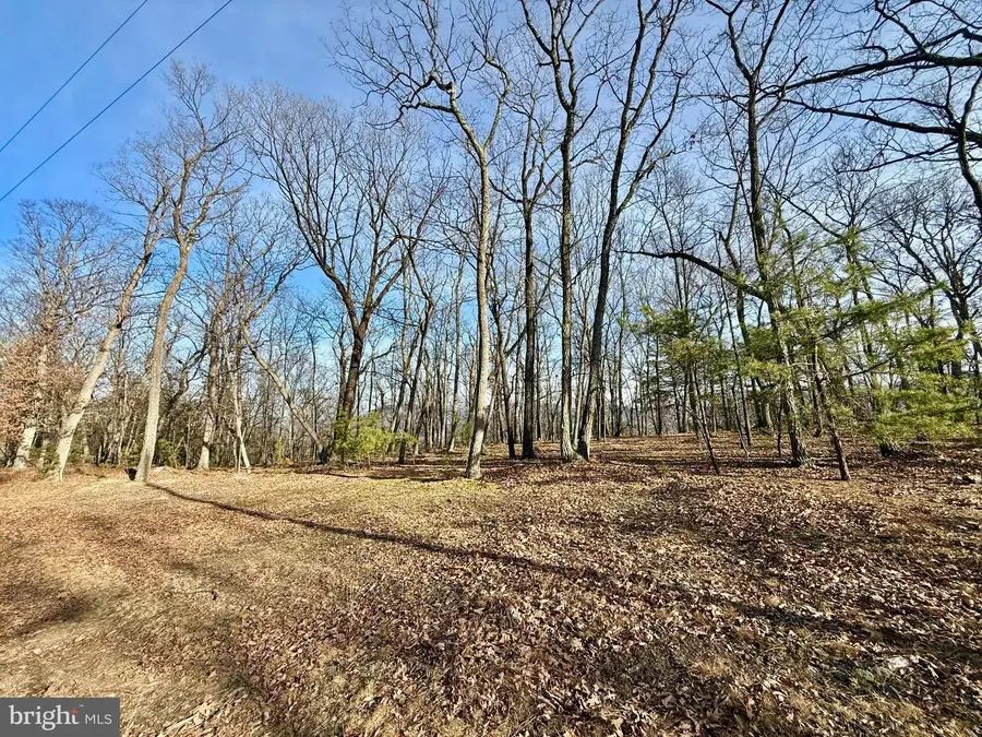 Snickerdoodle Lane, Lahmansville, WV 26731 - #3