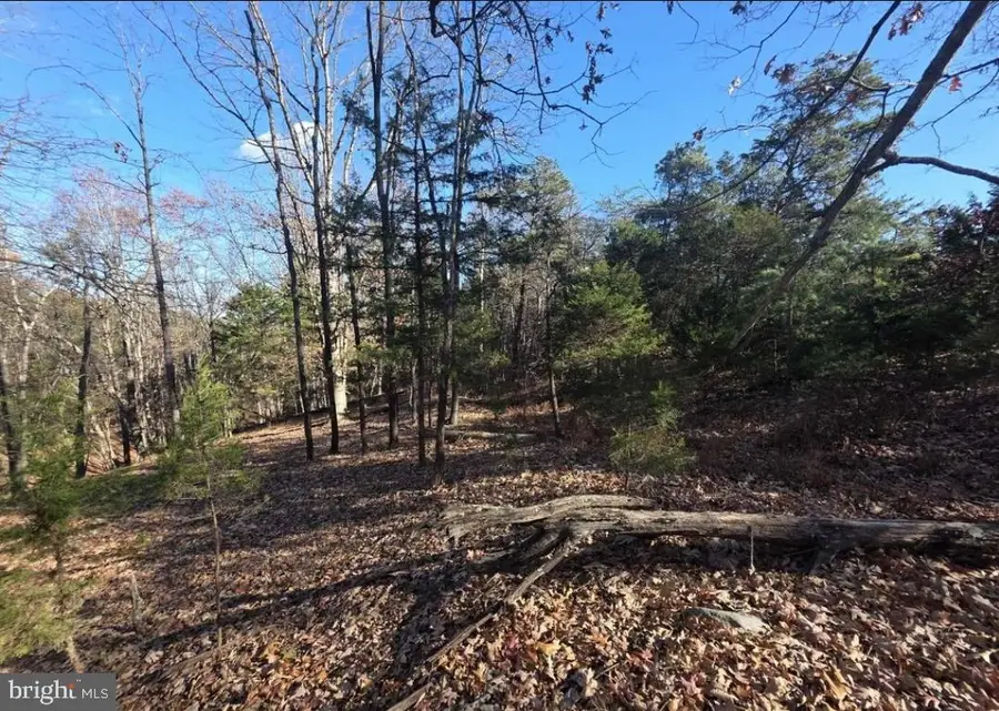 Lot 13 Yeager Ct., Petersburg, WV 26847 - #2