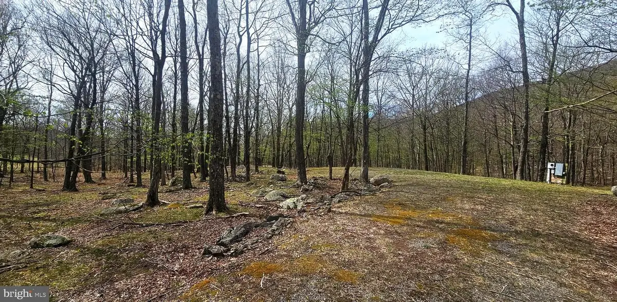Goldenseal Rd #lot 46, Maysville, WV 26833 - #1