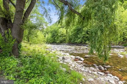107 Trout Ln, Cabins, WV 26855 - #2