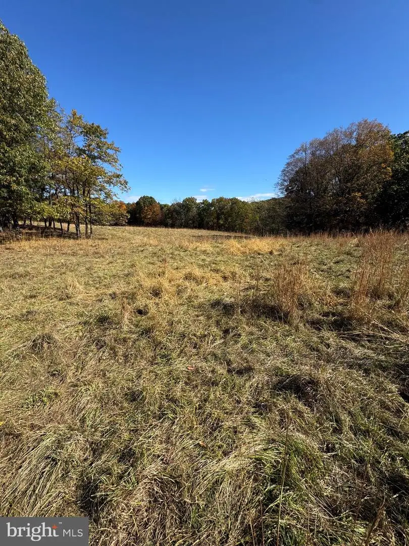 781 Dunmore Rd, Petersburg, WV 26847 - #1