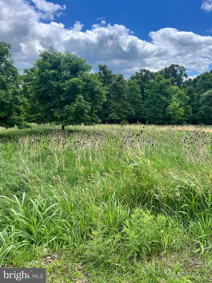 3295 Welton Orchard Road, Petersburg, WV 26847 - #1