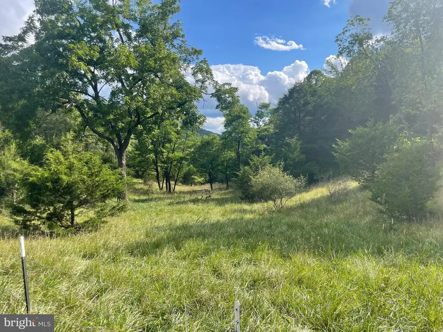 101.56 Ac Rt 9, Dorcas, WV 26847 - #2