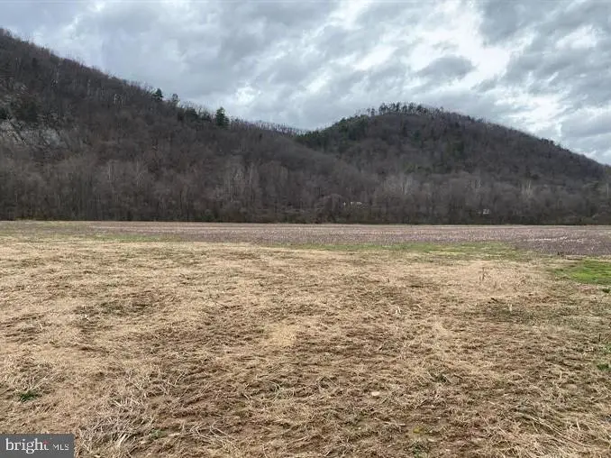 Stump Ln, Moorefield, WV 26836 - Image #2